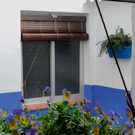 Apartment Sara Homes Juderia Wifi Y Patio Cordobes Privado Cordoba
