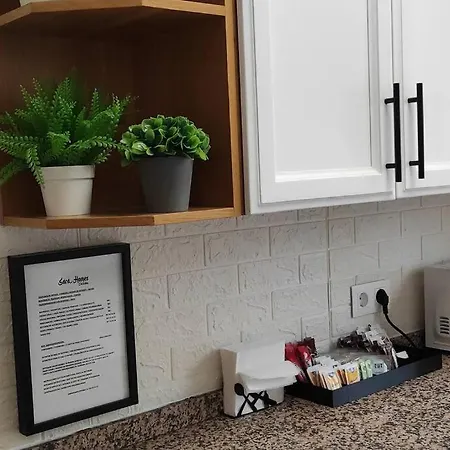 Sara Homes Juderia Wifi Y Patio Cordobes Privado Apartment Cordoba