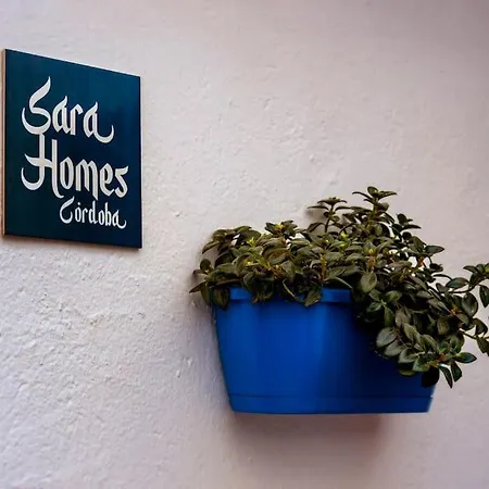 Sara Homes Juderia Wifi Y Patio Cordobes Privado * Cordoba