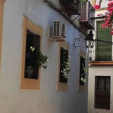 Apartment Sara Homes Juderia Wifi Y Patio Cordobes Privado